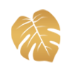 design-icon